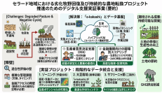 JICAの「ブラジル国セラード地域における劣化牧野回復及び持続的な農地転換プロジェクト推進のための情報収集・確認調査」にグリーンが採択