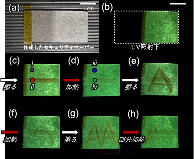 分子間の「結びつきの序列」が固体の機能と変化を決める