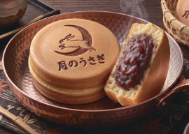 月のうさぎ_イメージ 月のうさぎ_イメージ