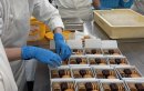 BURDIALA 焼き菓子缶を詰める様子2026 BURDIALA 焼き菓子缶を詰める様子2026