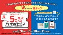 paypay戻ってくるキャンペーン paypay戻ってくるキャンペーン