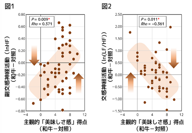 和牛を「美味しい」と感じると生理的にリラックスする～和牛（黒毛和種）の肉の味覚刺激による心理・生理反応の関係を検証～
