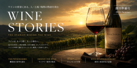 Wine Stories創刊準備 Wine Stories創刊準備