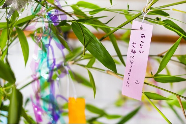 年に1度の七夕、みんなはどう過ごす?願いごとや予定を調査!【1000人アンケート】