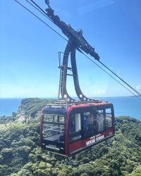 「東京湾フェリー往復きっぷ」におトクな優待を追加！