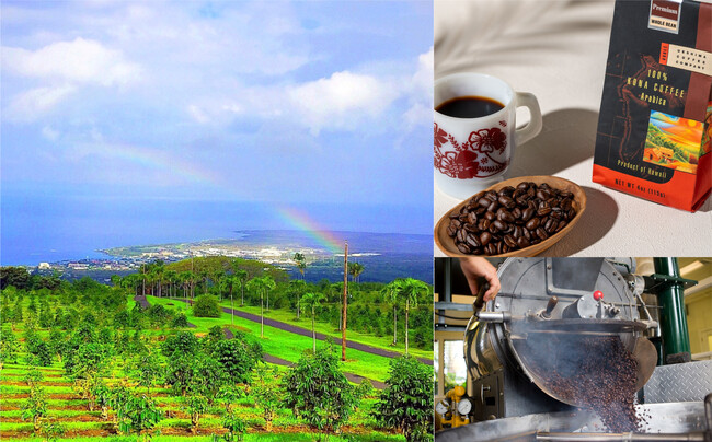 自宅にいながらハワイの風を感じる、特別な一杯と体験を「UCC ハワイコナコーヒー100% アイランドセレクト」　7月11日より数量限定で発売
