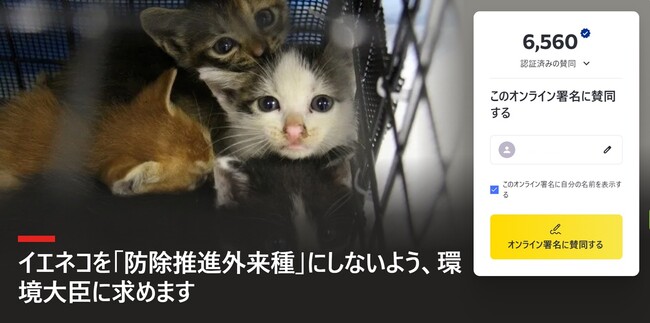 イエネコの「防除推進外来種」指定に反対――環境大臣に要望書を提出、Change.orgで署名活動を開始
