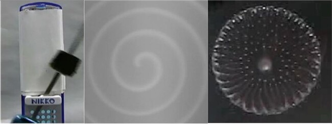 【武蔵野大学】振り子と心臓のリズムは何が違う？台風は明日どこへ進む？　工学部数理工学科が「ひらめき☆ときめきサイエンス～ようこそ大学の研究室へ～ＫＡＫＥＮＨＩ」を開催