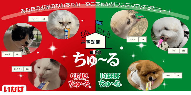 デジタルサイネージ「ファミマTV」の人気番組「わんにゃんお宅訪問withちゅ～る」第2弾のペット動画を募集開始！ファミリーマートで「ちゅ～る」を買うと全国デビュー確率アップ！