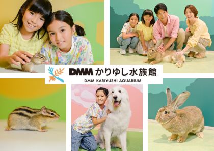 【DMMかりゆし水族館】この夏、新しい生きものたちが続々仲間入り！世界最大のウサギとの新たなふれあい体験も提供
