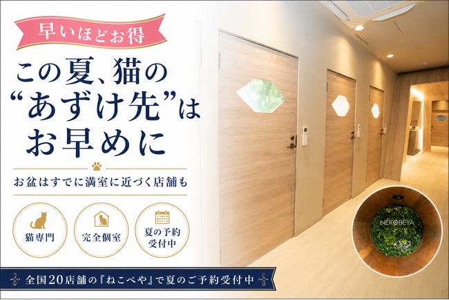この夏、猫の“あずけ先”はお早めに。猫専門ホテル『ねこべや』、夏の予約が本格化――お盆はすでに満室に近づく店舗も。ダイナミックプライシングで「早いほどお得」