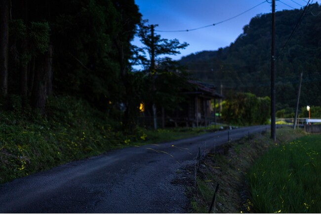 蛍の季節が終わり、里山の夏へ。千葉・富津の和心村が2026年の蛍シーズン終了を報告
