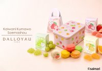 コラボ第三弾！フランス菓子『ダロワイヨ』からイラストレーター「saimari」描き下ろし商品が7月16日(木)より登場