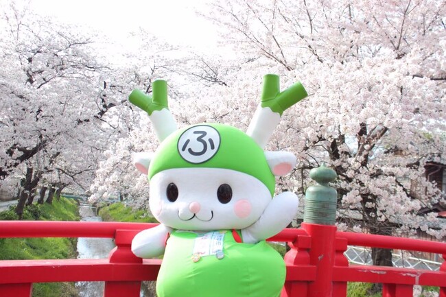 【埼玉県深谷市】満開の桜をもう一度!~渋沢栄一のふるさと深谷~「深谷の桜、復活プロジェクト」始動。