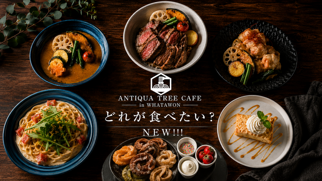 ファッションブランド「antiqua」が手掛けるライフスタイルカフェ『ANTIQUA TREE CAFE』がグランドメニューをリニューアル。食事も空間も、もっと楽しめるカフェへ。