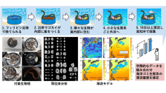 プラスチック製ボトルキャップに乗ったゴカイ達の航海記録 ～付着生物相・同位体分析・海流モデルから海洋ごみ生態系の漂流の道のりを推定～　