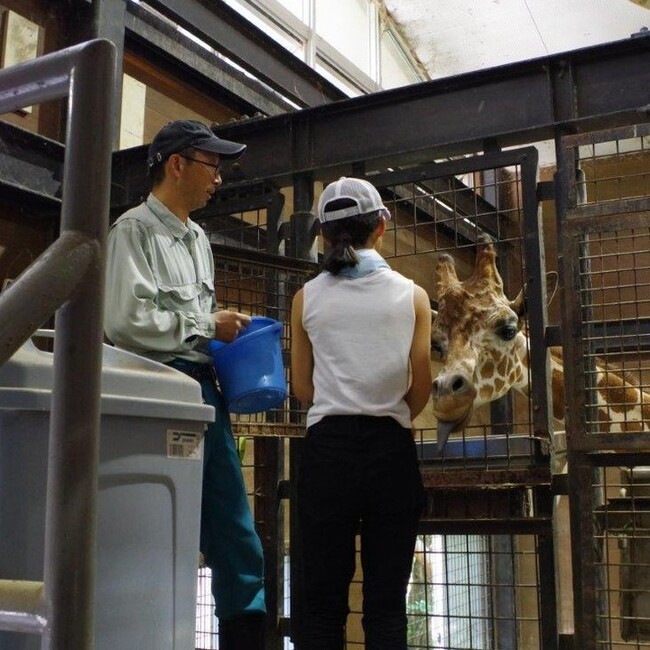 【徳島市】とくしま動物園 STELLA PRESCHOOL ANIMAL KINGDOM　サマースクールを開催！！