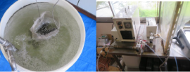 画像(1)/(左)洗浄状況、(右)AOS発生試験装置 画像(1)/(左)洗浄状況、(右)AOS発生試験装置