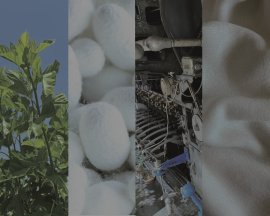 秩父シルク一元化構想