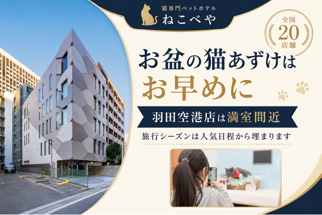 旅行シーズンの“猫あずけ”は、空港から満室に。猫専門ホテル『ねこべや』羽田空港店、お盆はすでに満室間近 ― 犬より多い「猫」の預け需要が集中