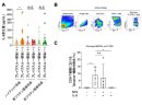 図2 血中サイトカイン・ケモカイン解析とSARS-CoV-2特異的CD8+T細胞誘導に対するIL-8の影響 図2 血中サイトカイン・ケモカイン解析とSARS-CoV-2特異的CD8+T細胞誘導に対するIL-8の影響