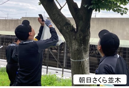 【埼玉県】クビアカツヤカミキリ被害防止キャンペーン!について
