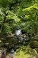 フィールドは「苔リウム」の素材とヒントに溢れています フィールドは「苔リウム」の素材とヒントに溢れています