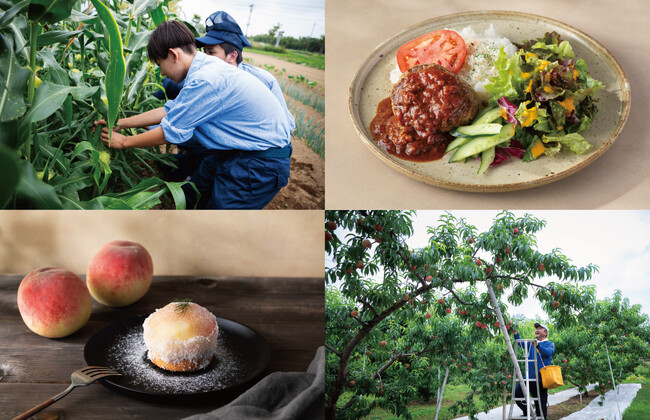 〈7/17(金)～〉福島県鏡石町「農家が主役のカフェ VEGETABLE LIFE CAFE」が今年は長期開催夏から冬まで、鏡石町の旬の美味しさをたどる5ヶ月