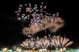夏の夜空を彩る大輪の花火 夏の夜空を彩る大輪の花火