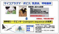 【酪農学園大学】獣医学類・臼井優教授らの研究グループが携帯型シークエンサーにより牛の難治性病原体マイコプラズマ・ボビスの薬剤耐性をその日のうちに判定する技術を開発