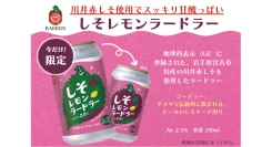 【ベアレン醸造所】岩手県宮古市特産「川井赤しそ」を使用した地域連携ビール第2弾「しそレモンラードラー」が新登場！