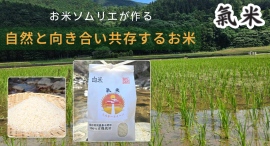 農薬不使用・有機肥料100％で栽培！オーガニック米のオンラインショップ「特別なお米　氣米」が、一部商品を7月22日よりポイ活サイトPotatoに掲載