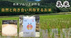 農薬不使用・有機肥料100％で栽培！オーガニック米のオンラインショップ「特別なお米　氣米」が、一部商品を7月22日よりポイ活サイトPotatoに掲載