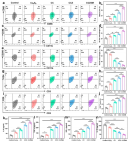 図 2 CCZSM による免疫抑制性腫瘍微小環境の改善評価(ACS Nano 掲載図)