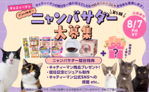 ドギーマンハヤシの猫ブランド「キャティーマン」7月24日より第5期公式アンバサダーを大募集！
