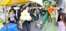 キャベツ抱え放題、野菜・果物詰め放題