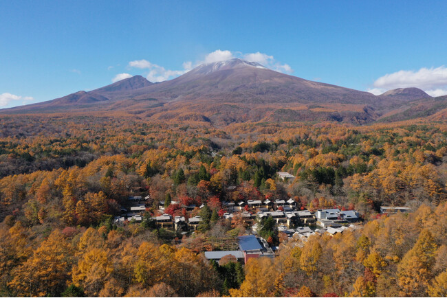 【星のや軽井沢】色鮮やかな紅葉に包まれ、秋の情景を独占する。自然の移ろいを五感で感じ、心身を調える5つの過ごし方を提案