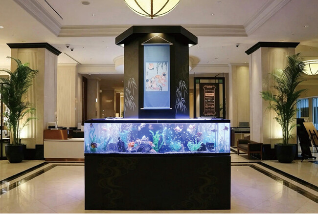 【名古屋マリオット】約200匹の弥富金魚が泳ぐ！夏のロビー展示『錦魚の舞2026』が始まりました！