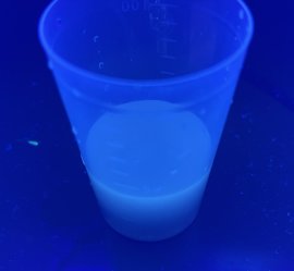 サルガッサムから合成した炭素量子ドット