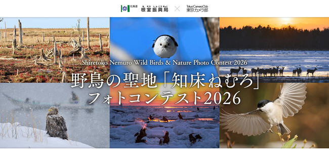【北海道根室振興局】”野鳥の聖地「知床ねむろ」フォトコンテスト2026”作品募集中です!