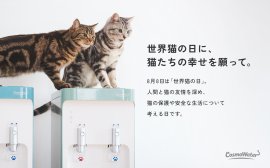【世界猫の日に、猫たちの幸せを願って。】 【世界猫の日に、猫たちの幸せを願って。】