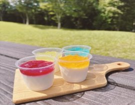 彩りパンナコッタ 彩りパンナコッタ
