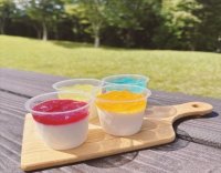 東名足柄サービスエリア上り富士山ファーム　この夏新登場！！「夏季限定！彩りパンナコッタ4種」