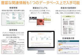 今日の臨床サポート概要図 今日の臨床サポート概要図