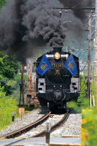ワイルドナイツと秩父鉄道SLが4年ぶりのコラボ「SL埼玉パナソニックワイルドナイツエクスプレス」を2026年9月5日(土)・6日(日)に運行