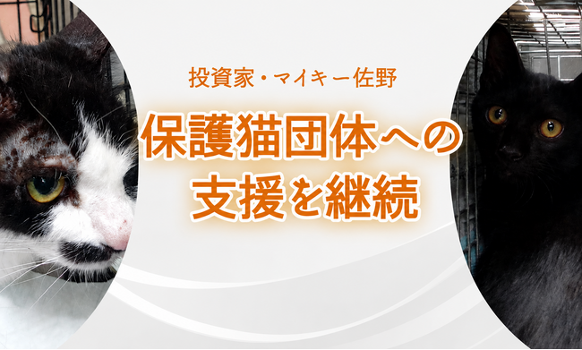 投資家・マイキー佐野、保護猫団体「NPO法人しっぽの約束」の支援を継続。7月度は過去最多24匹の譲渡を達成