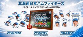 北海道日本ハムファイターズ ライセンスグッズ 北海道日本ハムファイターズ ライセンスグッズ