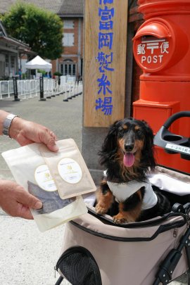 富岡製糸場5,555匹目の来場 東京都から訪れたジェスちゃん(7歳) 富岡製糸場5,555匹目の来場 東京都から訪れたジェスちゃん(7歳)