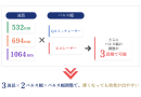 色素粒子に合わせた治療法 色素粒子に合わせた治療法