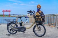 愛犬と一緒に浜名湖をサイクリング！弁天島サイクルゲートで「わんこと乗れるレンタサイクル」10月1日から実証事業開始